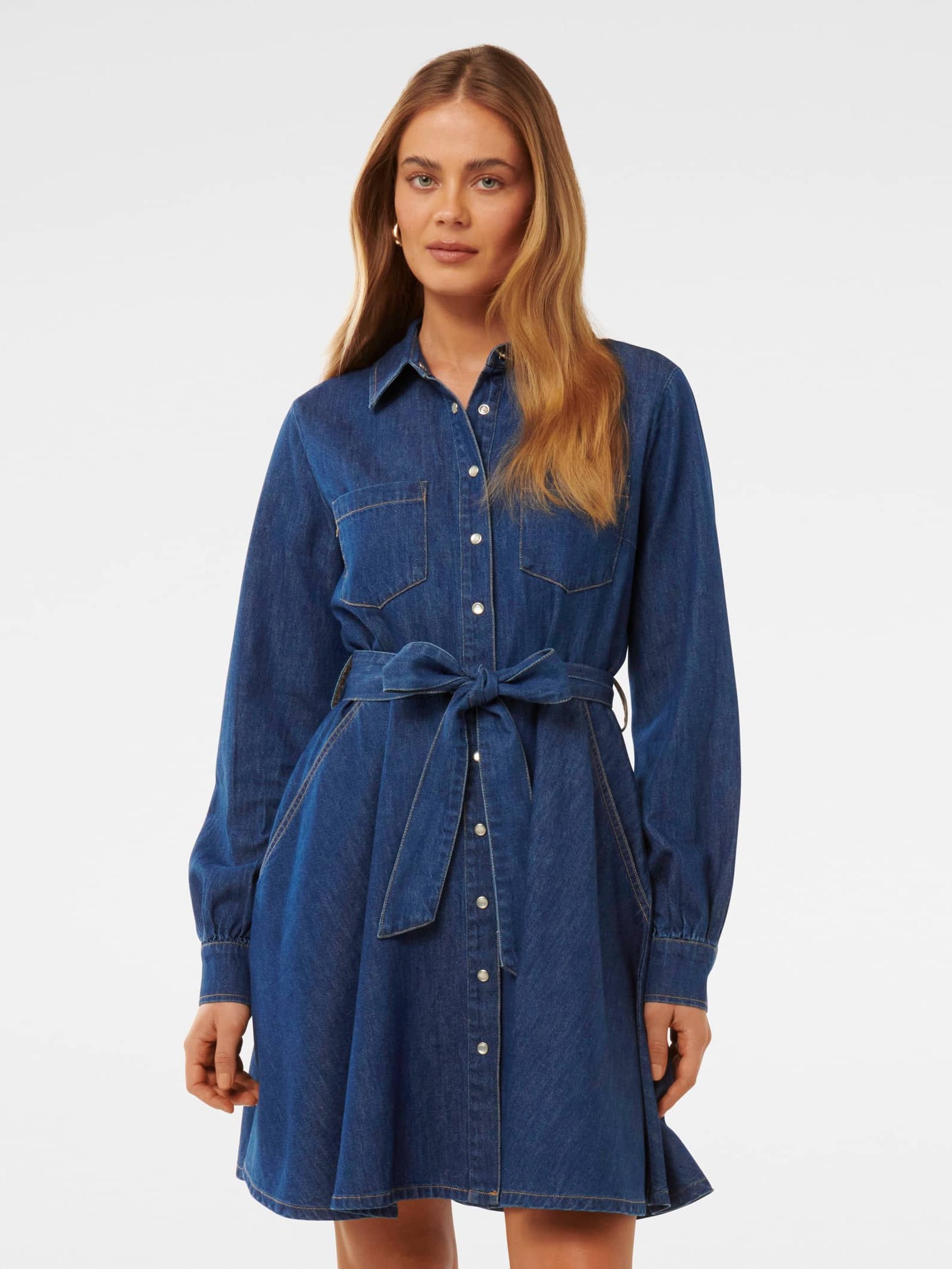 Colette Denim Shirt Dress