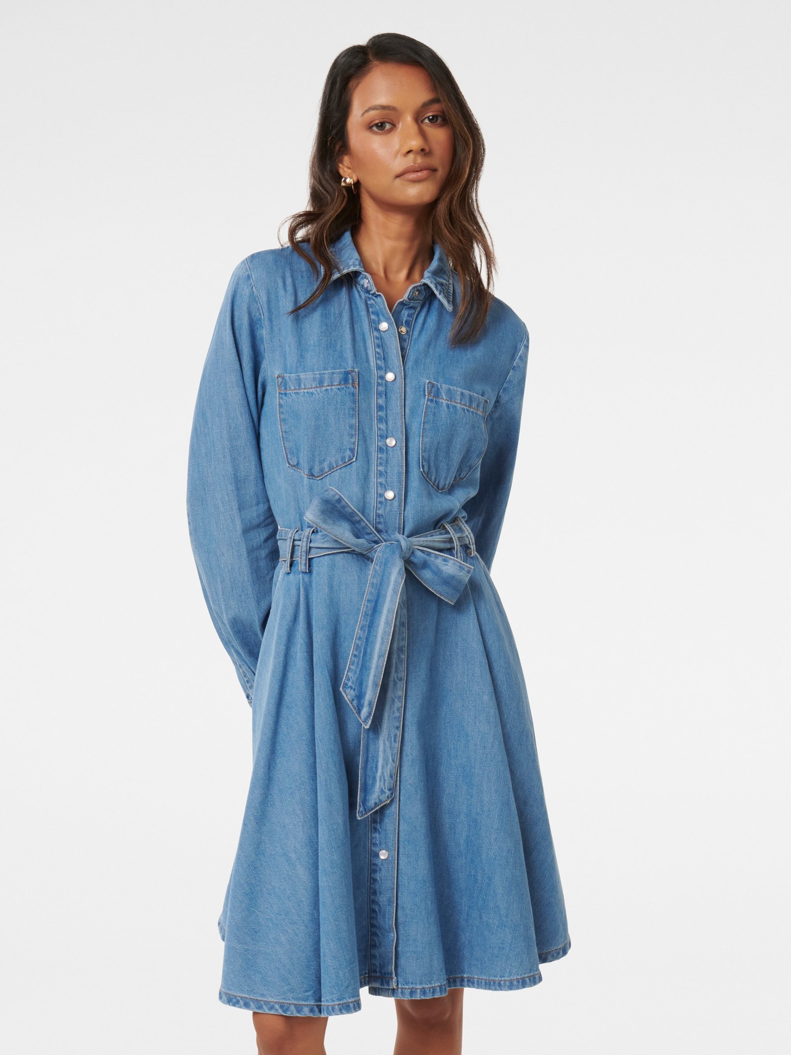 Colette Petite Denim Shirt Dress